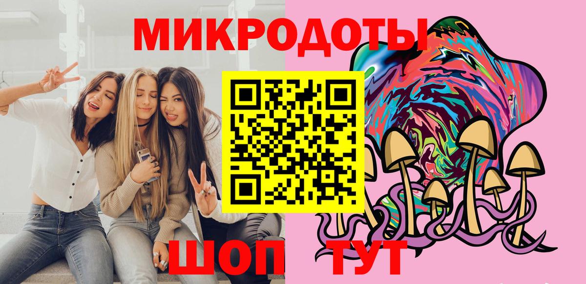 Псилоцибиновые грибы Cubensis Краснознаменск