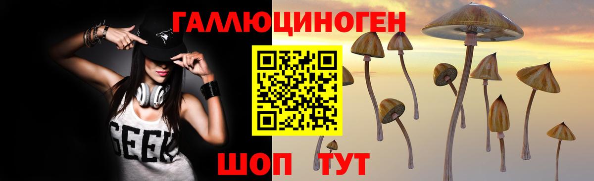 наркота  Вход с VPN  Краснознаменск  Псилоцибиновые грибы MAGIC MUSHROOMS 