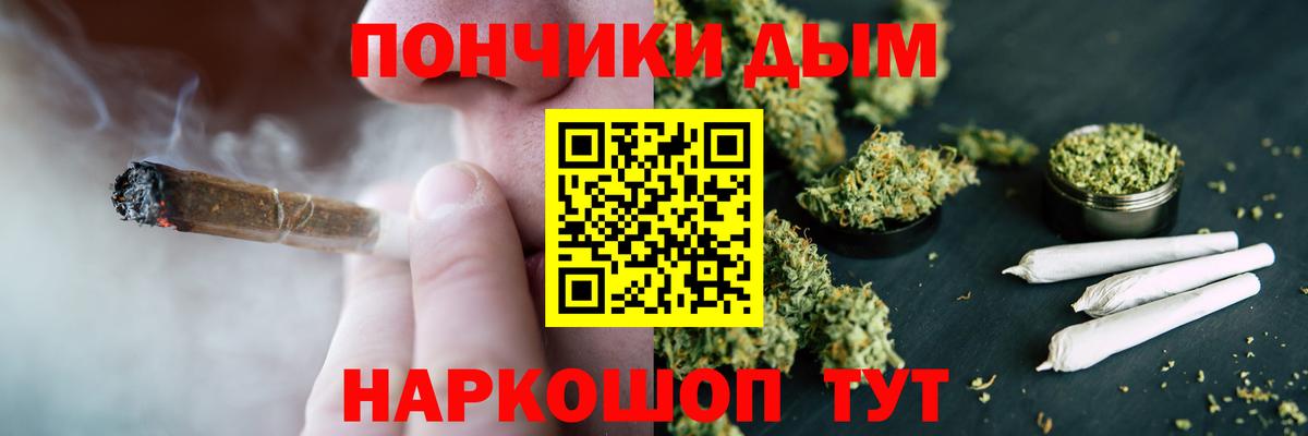 Канабис сатива Краснознаменск